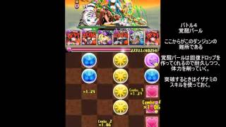 パズドラ　一度きりチャレンジ！【ノーコン】Lv.10　冥霊神・ネフティスPT