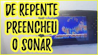 PARECE ATÉ MENTIRA COMO O SONAR FORROU DE PEIXE! [Pescaria No Alto-Mar Com Pargueira]