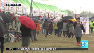 [TJB뉴스]논산 딸기 맛 보세요 2년만에 축제 개최