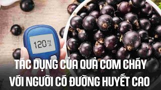 Tác dụng của quả cơm cháy với người có đường huyết cao | Báo Lao Động