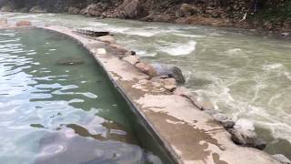 プーさん　奈良県吉野郡十津川村　十津川温泉郷　上湯温泉　神湯荘に行ったんだよおおう　その１