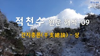 [적천수 원문 해석-09] 9.간지총론-상