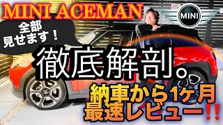 【ACEMANエースマンSE】納車1ヶ月で乗り倒したエースマンを徹底解剖！　気になる電費・充電・走行性能！など完全レビュー＜チャプター別 Ver.＞（日本仕様編）