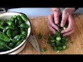 Green Chillies make DELICIOUS Fermented Hot Sauce