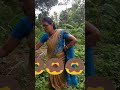 ആ ആന ആറാട്ട് malayalam rhymes for all bvn arun lkg students