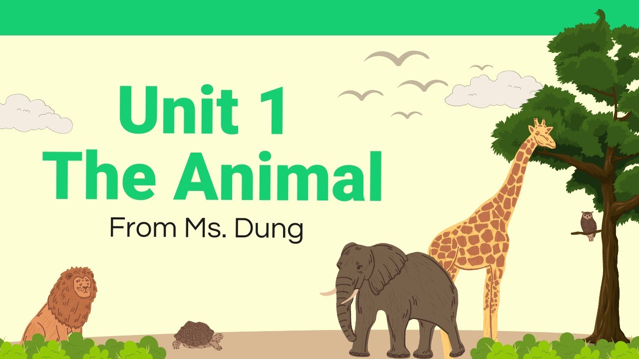 Grade 4 Unit 1 Lesson2 Youtube