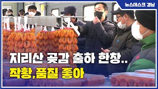 지리산 곶감 출하 한창..작황,품질 좋아 (2021.12.21/뉴스데스크/MBC경남)