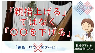 【初心者向けレクチャー動画】tips#2 『親指が下がる原因は他にある』