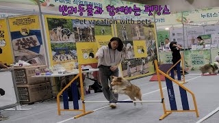 구미 반려동물과 함께하는  2024 대한민국 펫캉스 (2024 pet vacation in Korea with Gumi pets)