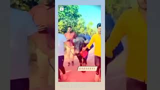 Khet Me Jhotta (Official Video) Uttar Kumar & Ruba Khan |  Haryanvi Song #viral #tranding #video