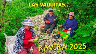 ANTES DE LLEGAR A JIRCAJATO CON LOS VAQUEROS RAVIRA FEBRERO 2025 HUARAL