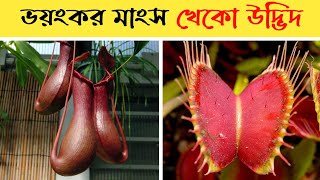 ভয়ংকর ৩ টি মাংস খেকো গাছ || মাংসাশী উদ্ভিদ || 3 Carnivorous Plants In The World