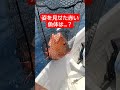 【必見】上がって来たこの赤い魚体は… shorts 釣り