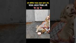 মায়ের কোনো তুলনা হয়না, মায়ের কোনো বিকল্প নেই। মা is মা #madhab_speaking #motivation #viralshort