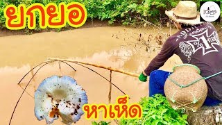 หาเห็ด \u0026 ยกยอร่องสนู Fishing lifestyle Ep.98