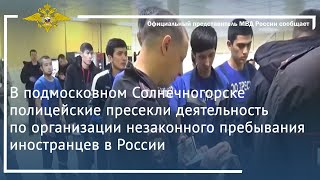 Ирина Волк: Пресечена деятельность по организации незаконного пребывания иностранцев в России