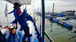 vlog#224 SIAKAP MEGANAS SPORT PERTAMA PADU!! MONSTER#sangkarsgudang #fishing #mat