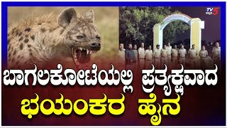 Terrifying Hyena Sighted in Bagalkote-ಬಾಗಲಕೋಟೆಯಲ್ಲಿ ಪ್ರತ್ಯಕ್ಷವಾದ ಭಯಂಕರ ಕತ್ತೆ ಕಿರುಬ..!