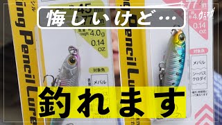 秋の湘南で「ダイソールアー」を投げたら、あの回遊魚が連発した！