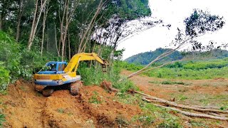 ​ EP2​ KOBELCO​ SK200​-3 ขึ้นบนควน​ ไม้ล้มยางพารา​ เจอต้นใหญ่​ สุดจัด