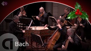 Bach: Concerto for Two Violins in D minor, BWV 1043 - Combattimento - Live concert HD