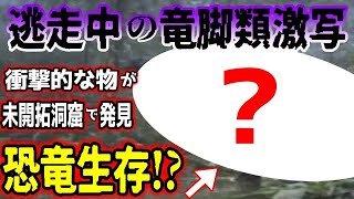 【ゆっくり解説】世界が震えた…カメールーンで逃走中の竜脚類の怪物を撮影！さらに未開拓洞窟で衝撃的な物が発見！アフリカに伝わる「ムボコロコロ」は恐竜の生き残りなのか【古代生物生存】