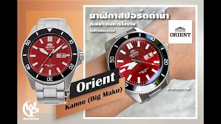 รีวิว Orient  Kanno (Big Maku) นาฬิกาสปอร์ตดำน้ำที่เหมาะกับชีวิตประจำวัน รุ่น RA-AA0915R -Watchesup