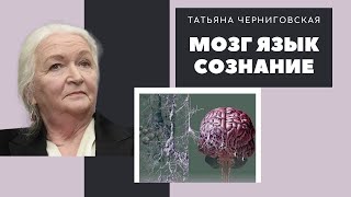 Мозг. Язык. Сознание.  Научный доклад - Татьяны Черниговской