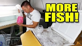 UNBOXING MY SECRET FISH