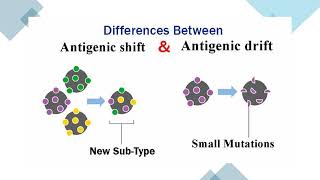 BIOL260 06 04 Viruses Animal Prions