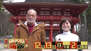 特別番組「世界遺産のオモテウラ」12月13日（日）14:00～放送