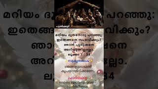 മറിയം ദൂതനോടു പറഞ്ഞു: ഇതെങ്ങനെ സംഭവിക്കും? ഞാന്‍ പുരുഷനെ അറിയുന്നില്ലല്ലോ.ലൂക്കാ 1 : 34