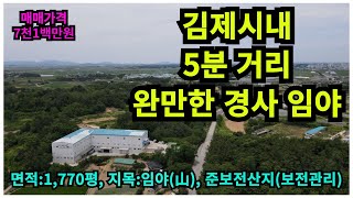 #매물번호: 2024-152# 김제시내 5분 완만한 경사 임야(山), 일부 전(田)으로 사용, 면적:1,770평, 준보전산지/보전관리지역, 매매가격:7천1백만원.