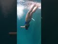 She dropped her SNORKLE! what happens next? #shorts #travel #freediving