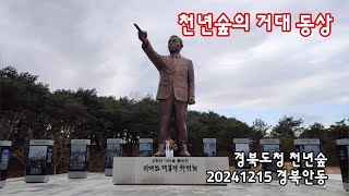 경북안동 박정희 대통령 동상, 천년숲 | 20241215