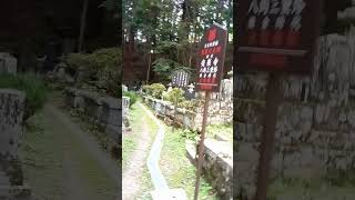 安楽寺 国宝・八角三重塔　別所温泉駅→常楽寺→安楽寺→北向観音→大師湯 (23) 信州の鎌倉 別所温泉