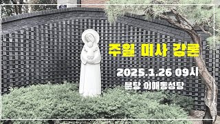 2025.1.26 연중 제3주일 09시 / 사랑의 계약서와 희년