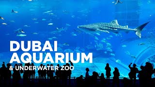 Dubai Aquarium and Underwater Zoo at The Dubai Mall | Dubai Aquarium
