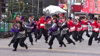 山村国際高校鳴子連／西口駅前メイン会場／第14回 東京よさこい（2013）