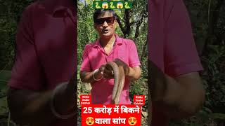 25 करोड़ में बिकने वाला सांप 🐍। दो मुंह वाला सांप #shorts #youtubeshorts #viral