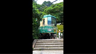 【鎌倉・江ノ島】江ノ電で鎌倉・江ノ島を満喫🚃