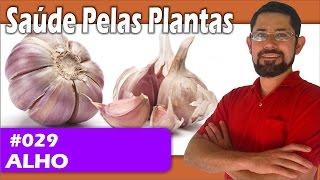 Saúde Pelas Plantas - Alho [câncer, coração, circulação, hipertensão, colesterol, fígado]