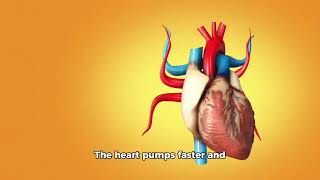 Your Body at 50°C 🥵– This Is What Happens!"‼️