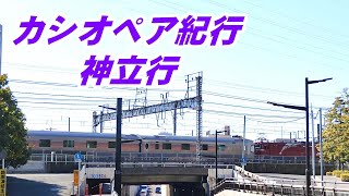 危うく玉砕 EF8181カシオペア紀行神立行 2025.1.18 亀有～金町