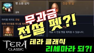 신작] 테라클래식에도 리세마라가 있다 ?! 무과금 신화펫 뽑고가세요 ! 테라 클래식 리뷰,tera terra classic 태라