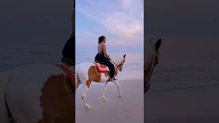 Dusit Thani Hua Hin ขี่ม้าบนชายหาด ดูพระอาทิตย์ตกดิน ฟินสุดๆ ❤️🐴🌅