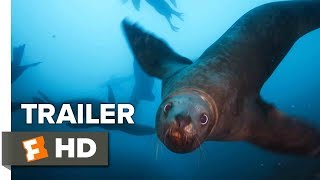 Blue Planet II Trailer #2 - BBC (2017) | Movieclips Trailers
