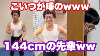 【144cmの先輩】このチビマッチョまじで癖になるわwww【総集編/筋トレ】#ビコーン ！