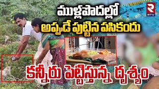 ముళ్లపొదల్లో పసికందు.. కన్నీరు పెట్టిస్తున్న దృశ్యం.. | New Born Baby Found In Bushes | Kadapa | RTV