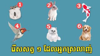 សត្វចិញ្ចឹមទាំង ៦ មើលដឹងពីងបុគ្គលិកលក្ខណៈពិតរបស់អ្នក | ល្បងចិត្តសាស្ត្រ-Psychological Testing